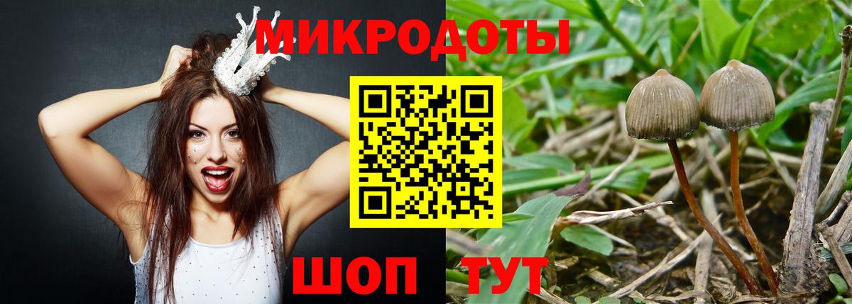 хочу   Галлюциногенные грибы MAGIC MUSHROOMS  Вход с VPN  Белово  Галлюциногенные грибы Cubensis 
